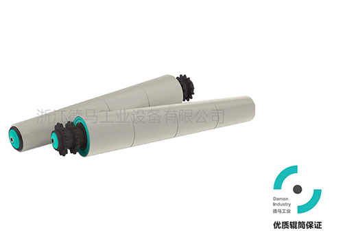 2624系列 塑钢双链锥套辊筒